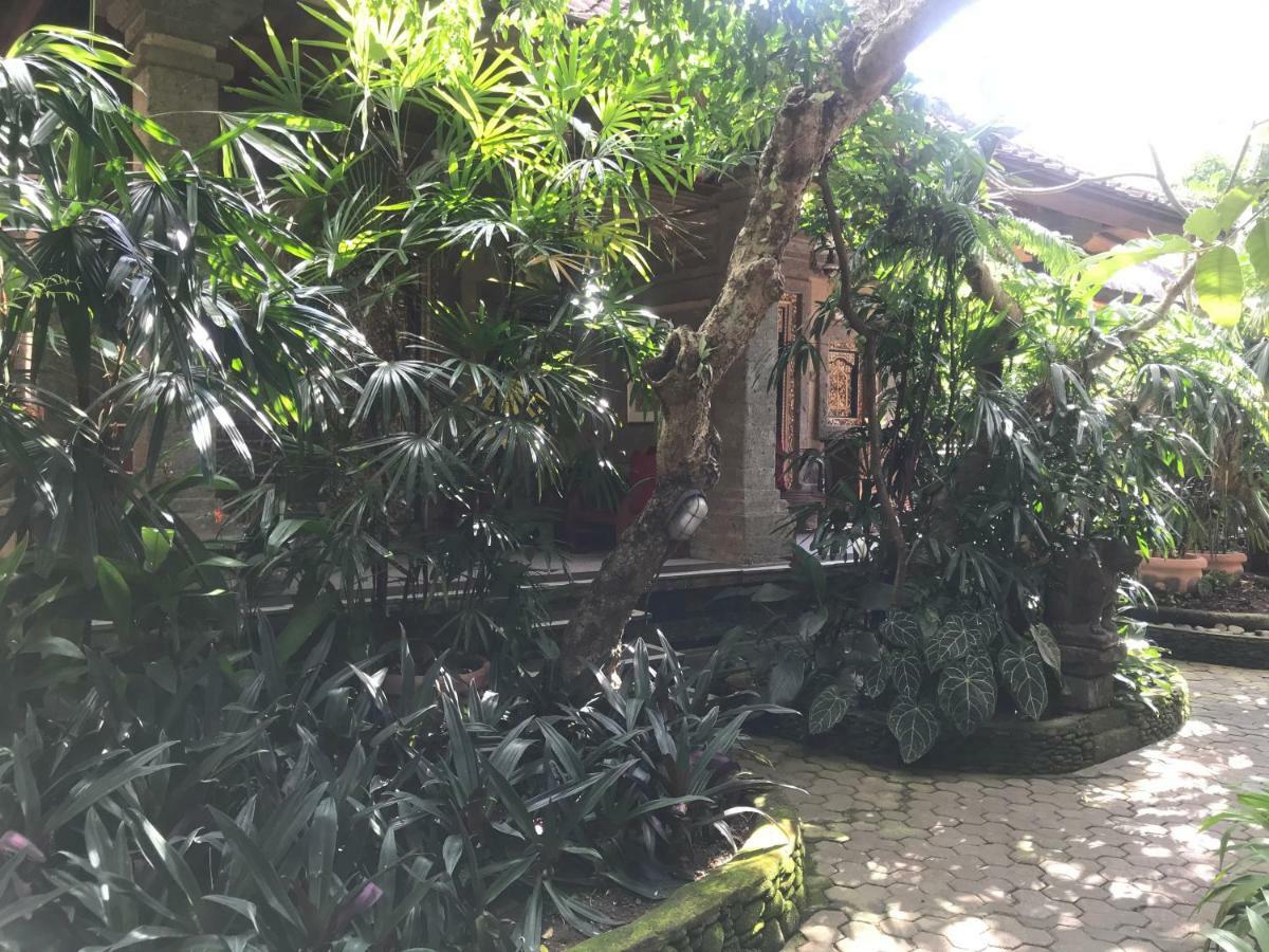Nirvana Pension Ubud  Ngoại thất bức ảnh